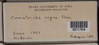 Image Associated With the Occurence